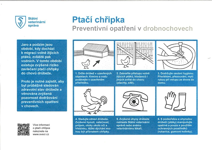 Letk newcastelsk chroba
